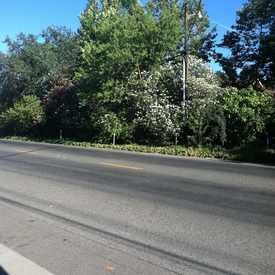 Photo of BRADSHAW RD & OLD PLACER RD (SB)