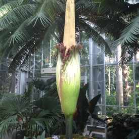 Photo of Botanic Gardens (historical)