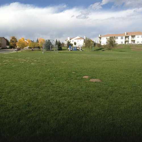 photo of Wedgewood Park in Briargate at 2825 Tartan Lane Colorado Springs CO 80920