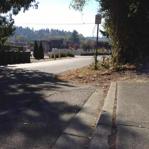 photo of Abruptly-ending Sidewalk at 10420 Northeast 186th Street Bothell WA 98011