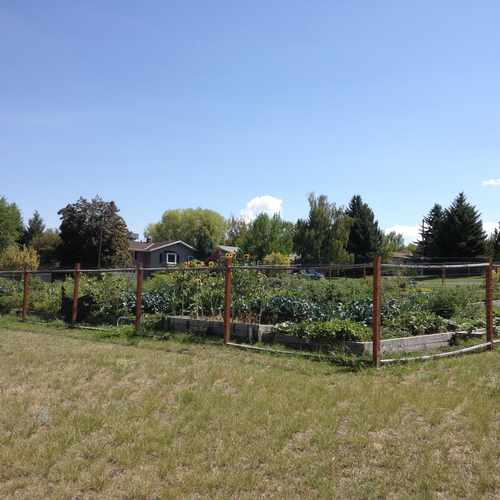 photo of Plymouth Congregational Community Garden at 1733 Winne Ave Helena Mt 59601
