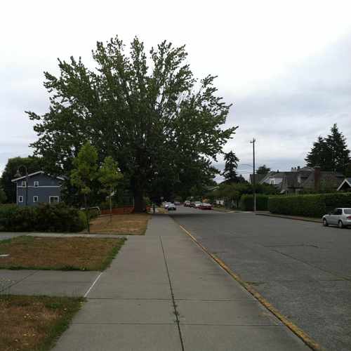 photo of 49TH AVE SW & SW HINDS ST at 4802 Southwest Hinds Street Seattle WA 98116