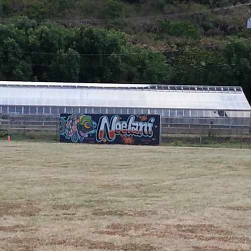 photo of Noelani Elementary School at 2655 Woodlawn Drive Honolulu HI 96822