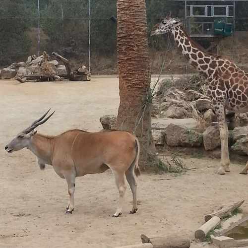 photo of 625 48th Street at 4975 F Street Sacramento CA 95819