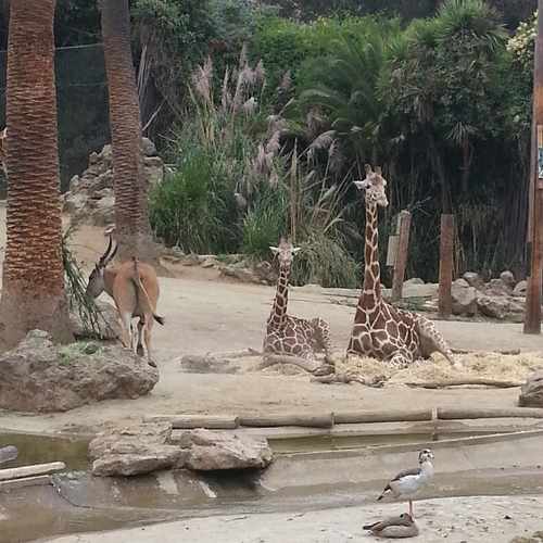 photo of 625 48th Street at 4975 F Street Sacramento CA 95819