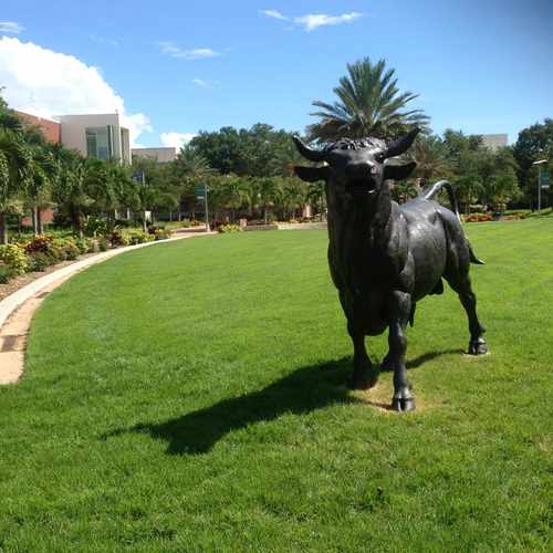 photo of #8 Alfred Whitted Airport - University Of South Florida Bulls at 121 7th Avenue South St. Petersburg FL 33701