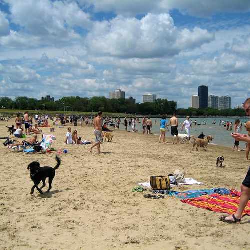 photo of Montrose Beach at West Wilson Avenue Chicago IL US