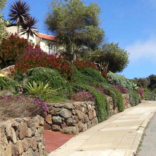 photo of Monterey Blvd & Ridgewood Ave at 40 Montecito Avenue San Francisco CA 94112