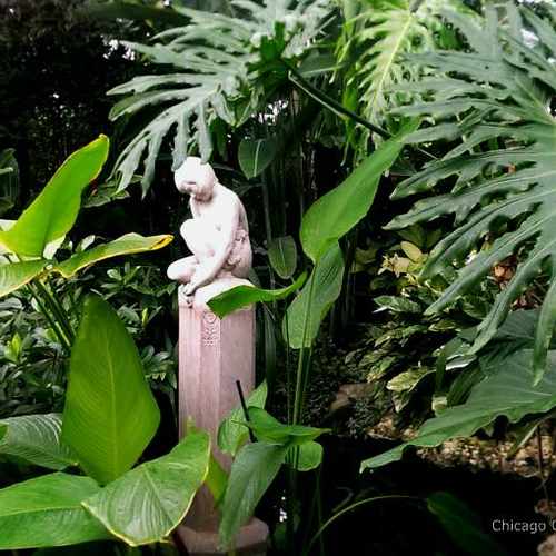 photo of Lincoln Park Conservatory at 2391 North Stockton Drive Chicago IL 60614
