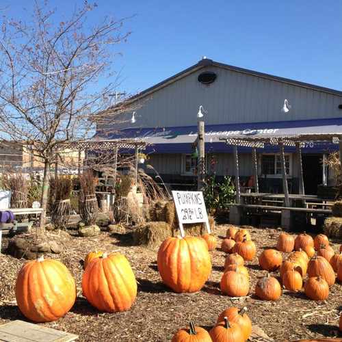 photo of Advance Landscape Center at 6000 South Howell Avenue Milwaukee WI 53207