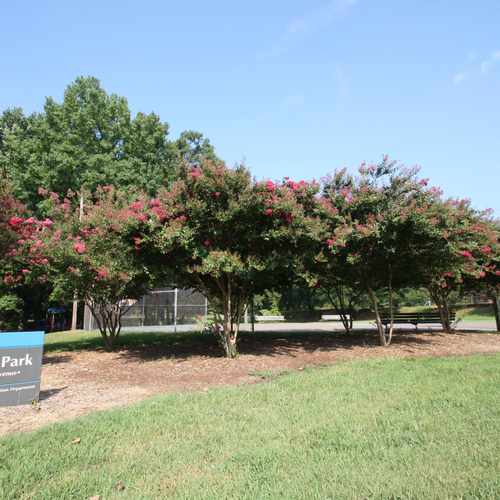 photo of Midwood Park at 2100 Wilhelmina Avenue Charlotte NC 28205