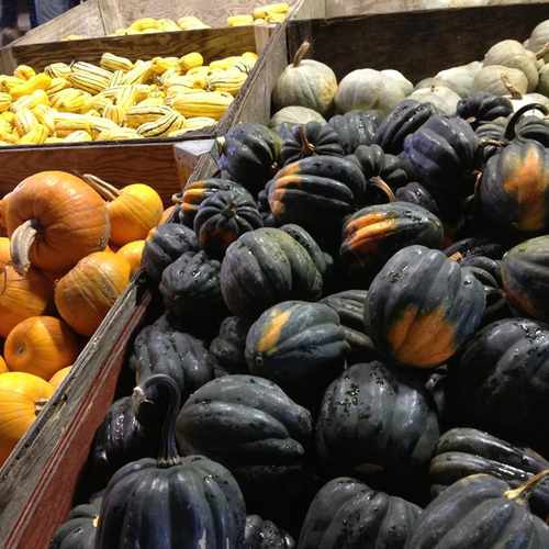 photo of Kruger's Farm Market at 17100 Northwest Sauvie Island Road Portland OR 97231