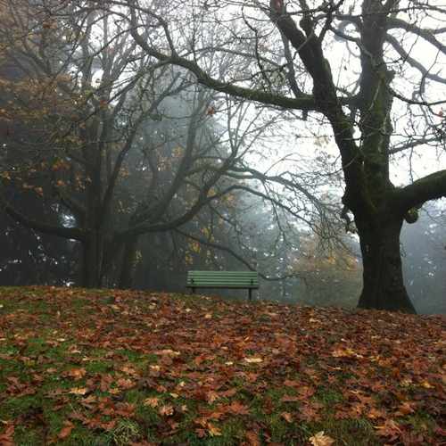 photo of Mount Tabor City Park at Southeast Reservoir Loop Drive Portland OR 97215