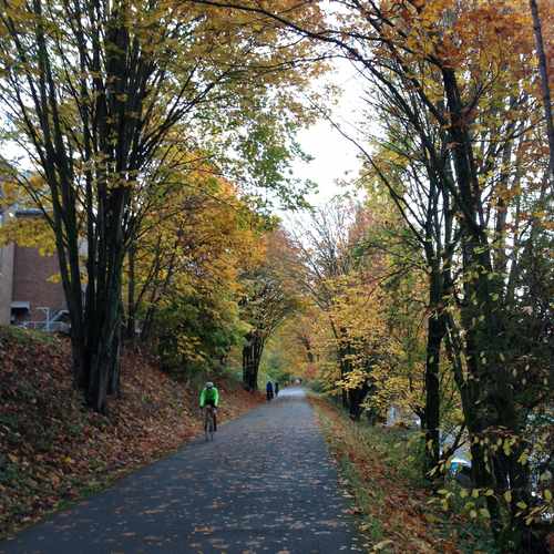 photo of Burke Gillman Trail at 3924 Montlake Blvd NE Seattle WA 98105