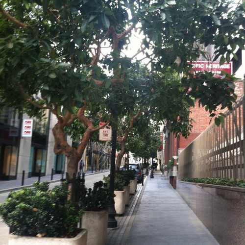 photo of Commerce Street SF at 505 Montgomery Street San Francisco CA 94111