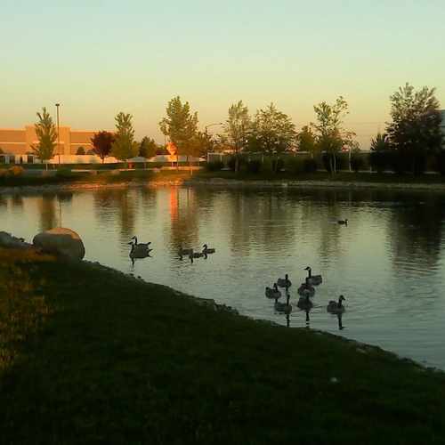 photo of Champion Park at 2421 East Omera Street Meridian ID 83646