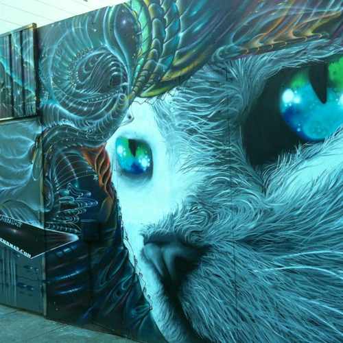 photo of Cosmic cat Street Art At Mission And Sycamore at 2154 Mission Street San Francisco CA 94110