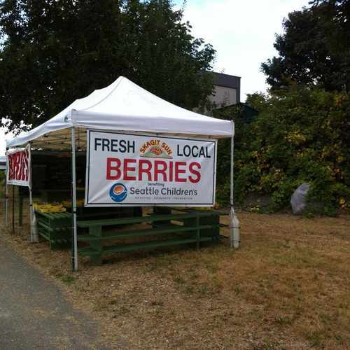 photo of Skagit Sun Berries at 3711 Northeast 45th Street Seattle WA 98105