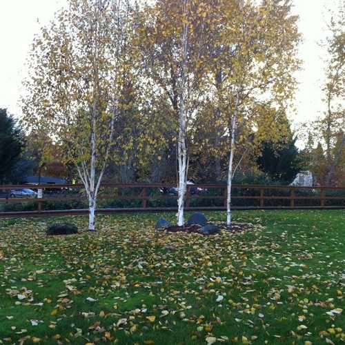 photo of Walkways at 235 Jackson Creek Drive Jacksonville OR 97530