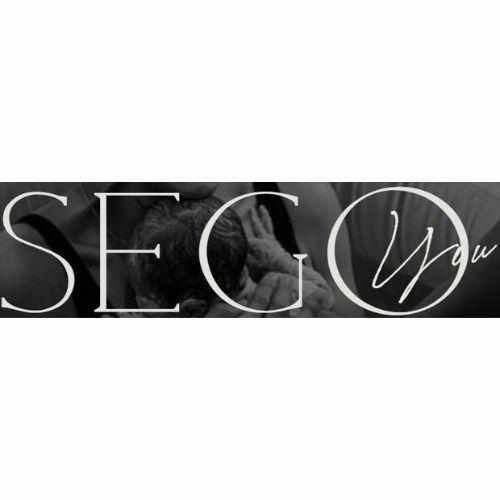 photo of Sego Midwifery at 1709 East 1300 South Salt Lake City UT 84108