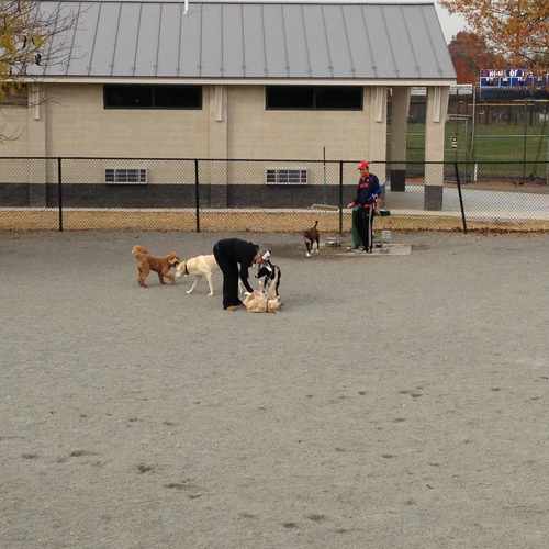 photo of Potomac Yard Dog Park at 574 East Monroe Avenue Alexandria VA 22301