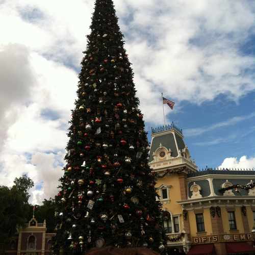 photo of Main Street, USA at 102 Main Street U.S.A. Anaheim CA 92802