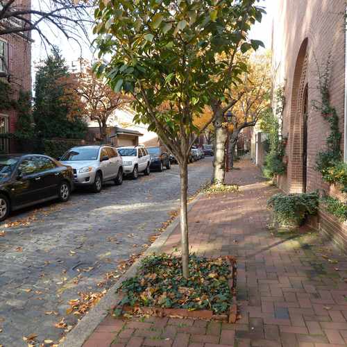 photo of Lawrence Court at 323 Lawrence Court Philadelphia PA 19106