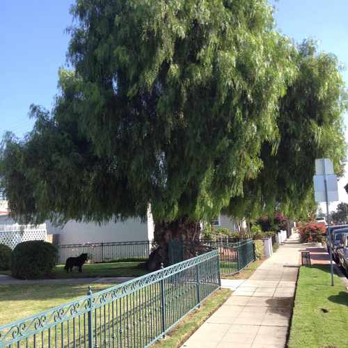 photo of Steven J Byers DDS at 4403 Marlborough Avenue San Diego CA 92116