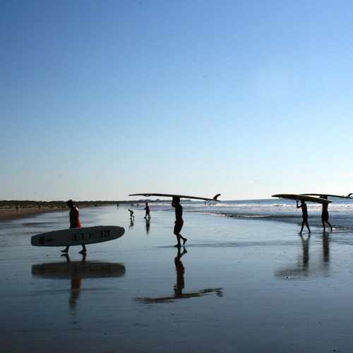 photo of Isle Of Palm County Park at 5 Sand Dune Lane Isle of Palms SC 29451