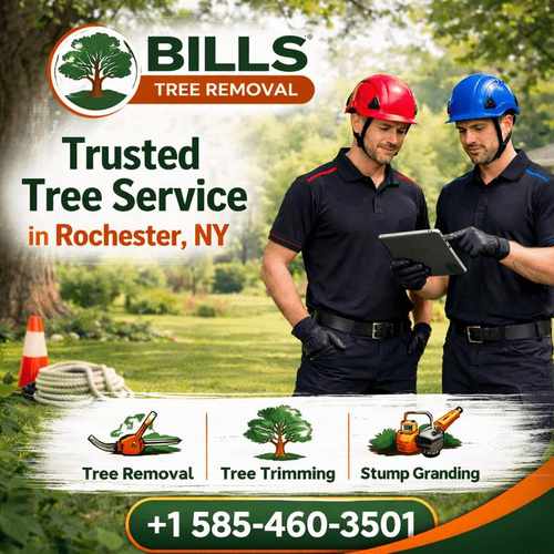 photo of Bills Tree Rochester at 1412 Bellevue Ave Seattle WA 98122