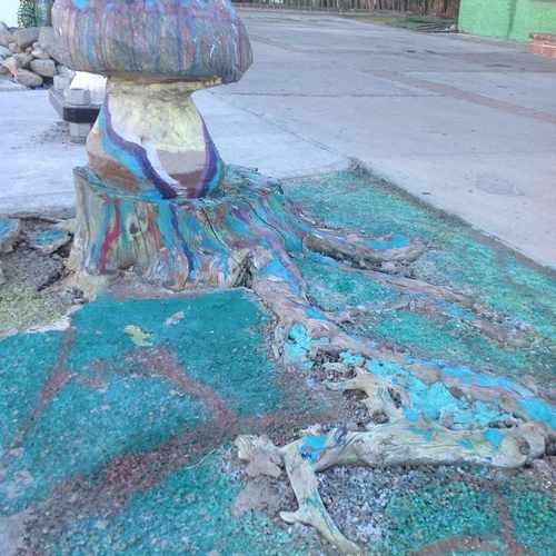 photo of Tree Stump Art at 418 East 5th Street Tucson AZ 85705