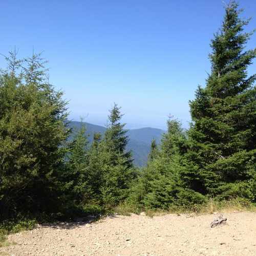 photo of Tiger Mountain Summit at this address