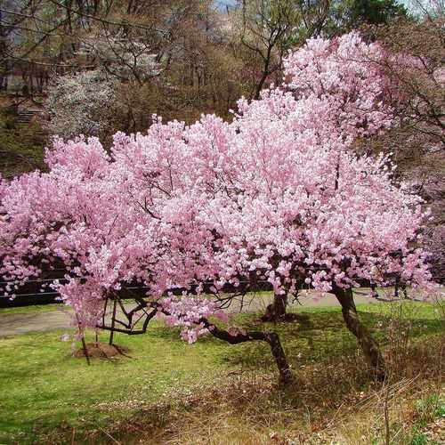 photo of Station Plaza Park at Station Plaza Millburn NJ 07078