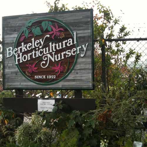photo of Berkeley Horticultural Nursery, McGee Avenue, Berkeley, CA at 1310 McGee Avenue Berkeley CA 94703