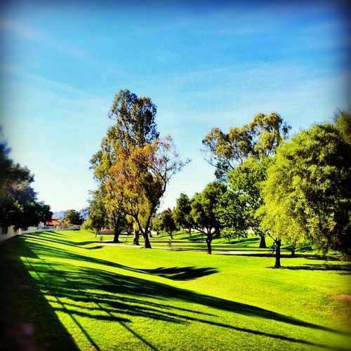 photo of Camelback Walk at N 85th Way at 8801 N 85th Way Scottsdale AZ 85258