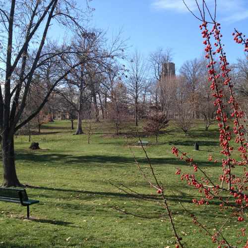 photo of Concordia Park at 757 De Mun Avenue Clayton MO 63105