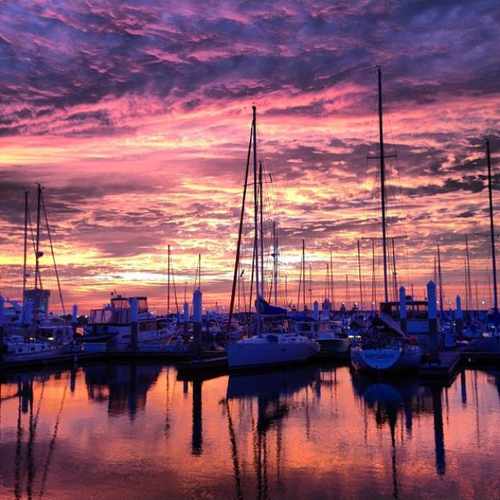 photo of The Harborage at Ashley Marina at 33 Lockwood Drive Charleston SC 29401