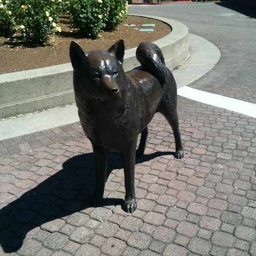 photo of Husky Sculpture at Mason Road Seattle WA 98105