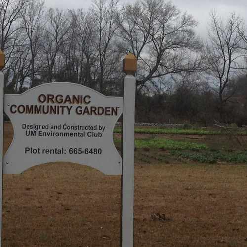 photo of Organic Community Garden, University of Montevallo at 1315 County Road 10 Montevallo AL 35115
