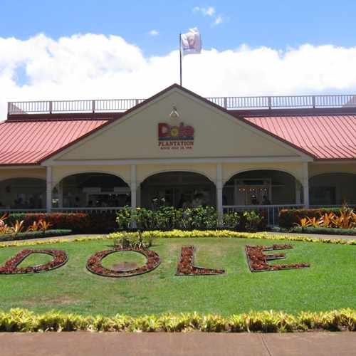 photo of Dole Plantation at 64-1550 Kamehameha Highway Wahiawa HI 96786