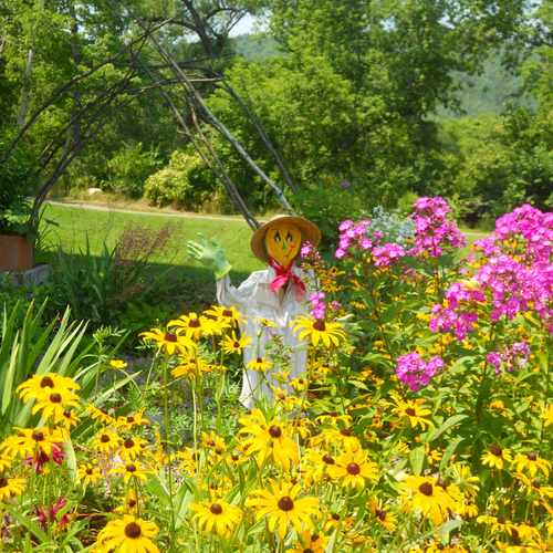 photo of Canillas Community Garden at CCBA at Taylor Street Lebanon NH 03766