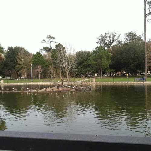 photo of Riverside Park Surgicenter at 893 Park Street Jacksonville FL 32204
