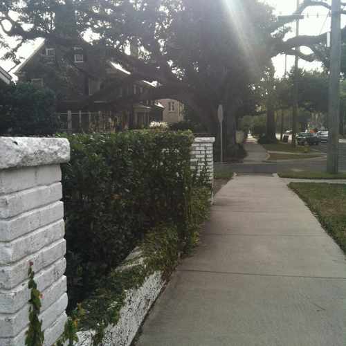 photo of St Johns Avenue, Jacksonville, Florida at 1803 Donald Street Jacksonville FL 32205