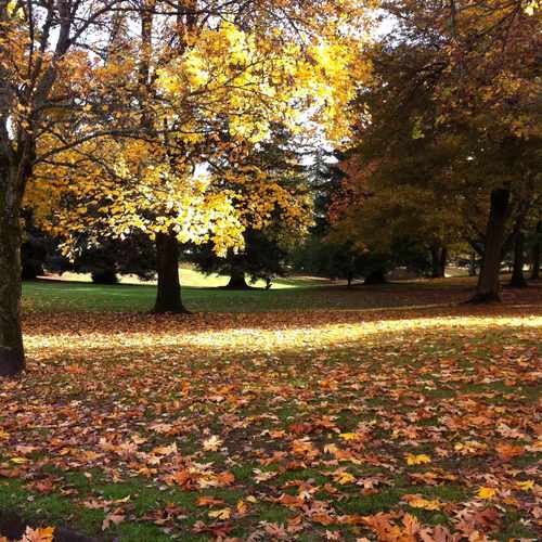 photo of Fernhill City Park at 6100 Northeast 37th Avenue Portland OR 97211