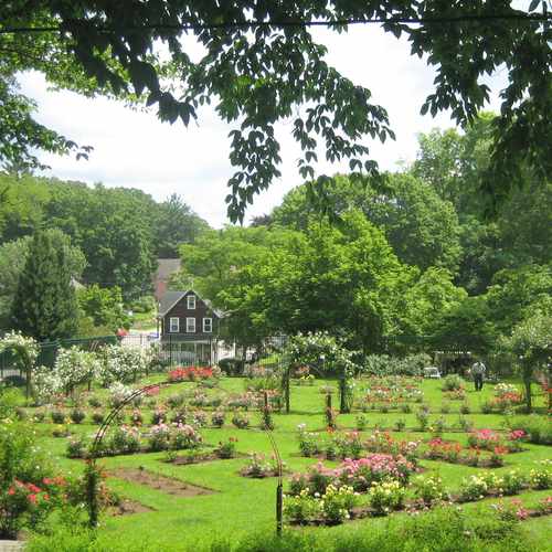photo of Memorial Rose Gardens at 180 Rockwell Street Norwich CT 06360