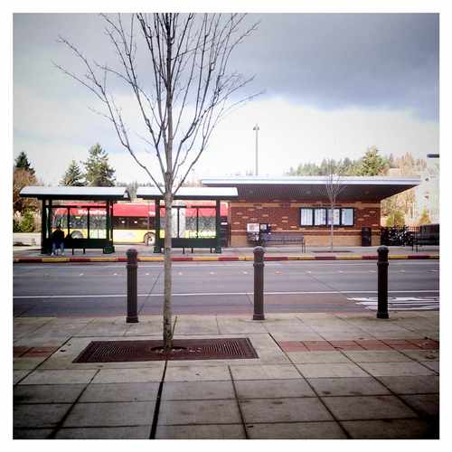 photo of Redmond Transit Center at 16160 Northeast 83rd Street Redmond WA 98052