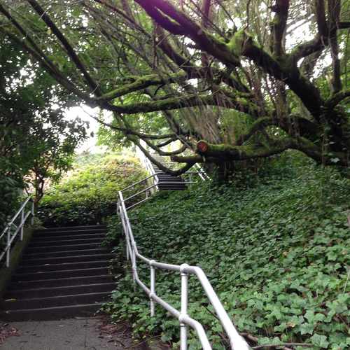 photo of Urban Stairwell at 1100 37th Avenue Seattle WA 98122