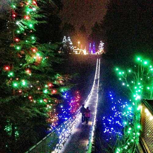 photo of Capilano Suspension Bridge at 3735 Capilano Road North Vancouver BC Canada