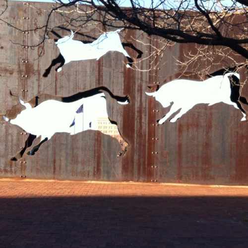 photo of Running With The Bulls at 1843 Village West Parkway Kansas City KS 66109