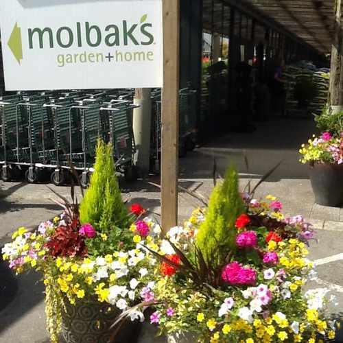 photo of Molbak's Garden + Home at 13625 Northeast 175th Street Woodinville WA 98072